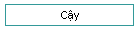 C̣y